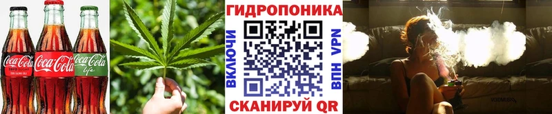 Cannafood конопля  купить   Иноземцево 
