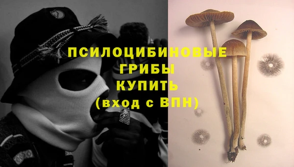 прущие крисы Абаза
