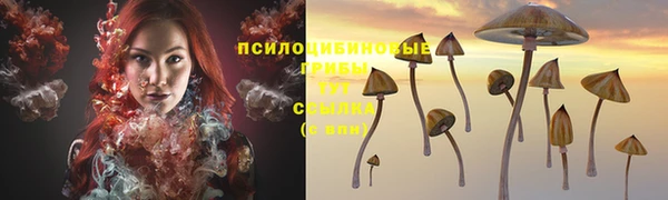 2c-b Михайлов