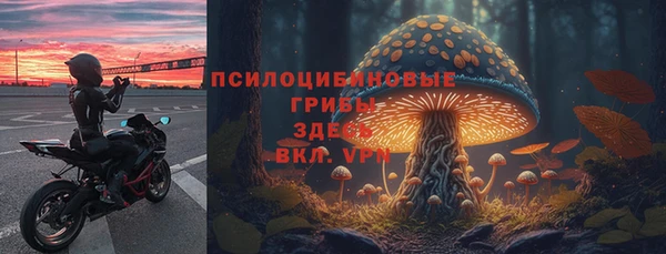2c-b Михайлов