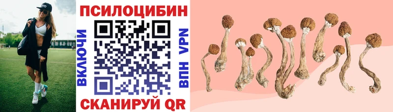 Галлюциногенные грибы прущие грибы  Иноземцево 